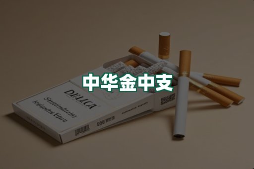 中华金中支
